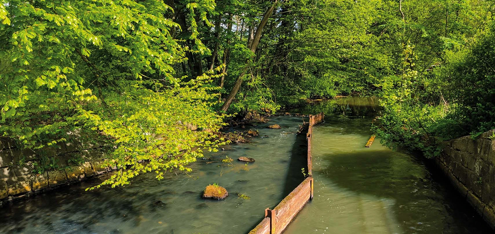 Wassermühle, Schafflund
