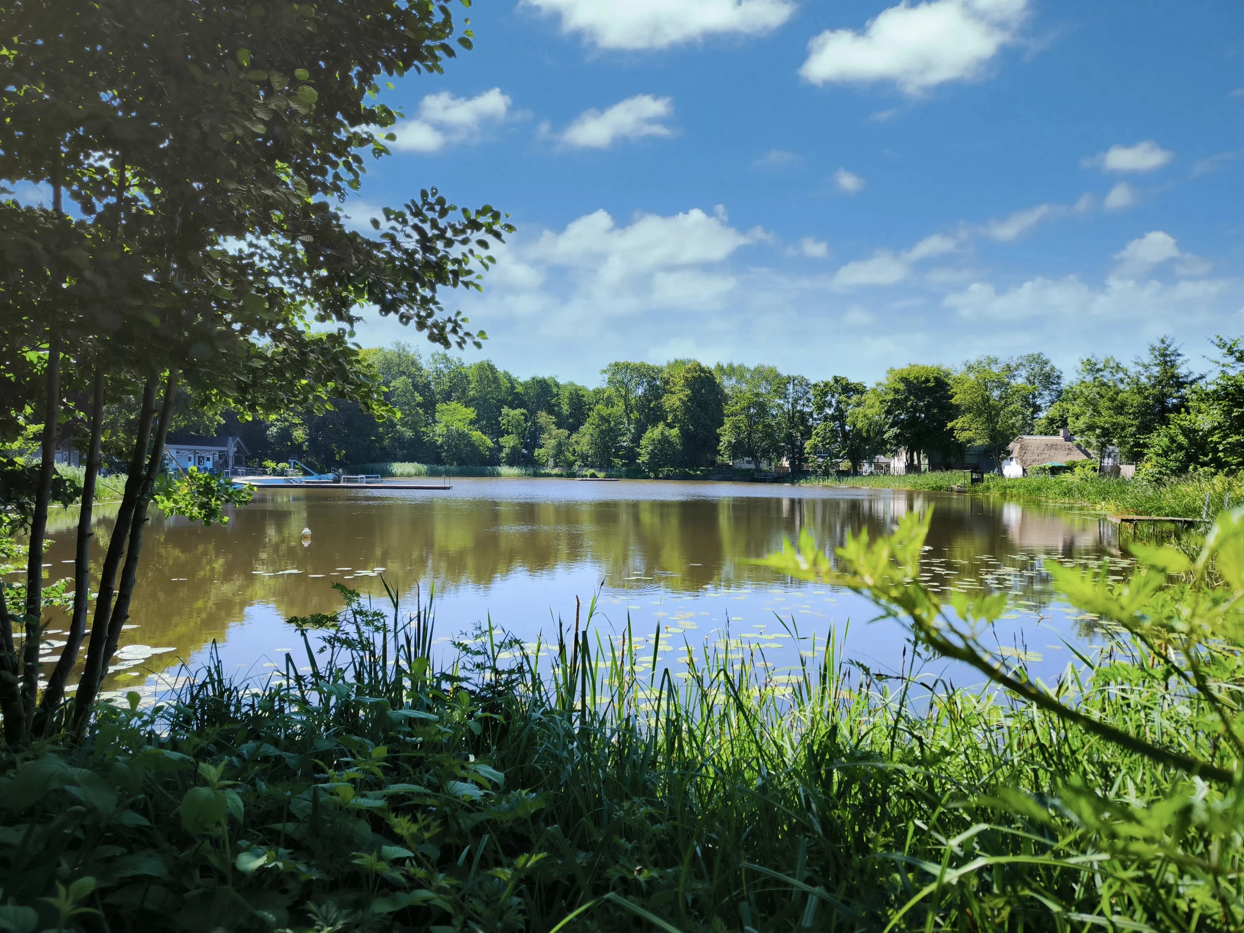 Waldbad Lindewitt